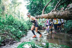 BIB: 
                            <button type="button" onclick="openModal(25467286)" class="btn btn-primary btn-sm float-right btn-popup" data-toggle="modal" data-target=".modal-high-quality">
                        <i class="fas fa-shopping-cart"></i> Add to Cart
                    </button>
                                            <button type="button" onclick="isThisMe(25467286, true)" class="btn btn-success btn-sm float-right btn-popup btn-isme hidden" data-toggle="tooltip" data-placement="bottom" title="นี่คือรูปของคุณใช่ไหม คลิกที่นี่เพื่อเอาเข้าอัลบั้ม">
                        <i class="fas fa-plus"></i> Add to album
                    </button>
                    <button type="button" onclick="isThisMe(25467286, false)" class="btn btn-warning btn-sm float-right btn-popup btn-isnotme hidden">
                        <i class="fas fa-ban"></i> Remove from album
                    </button>